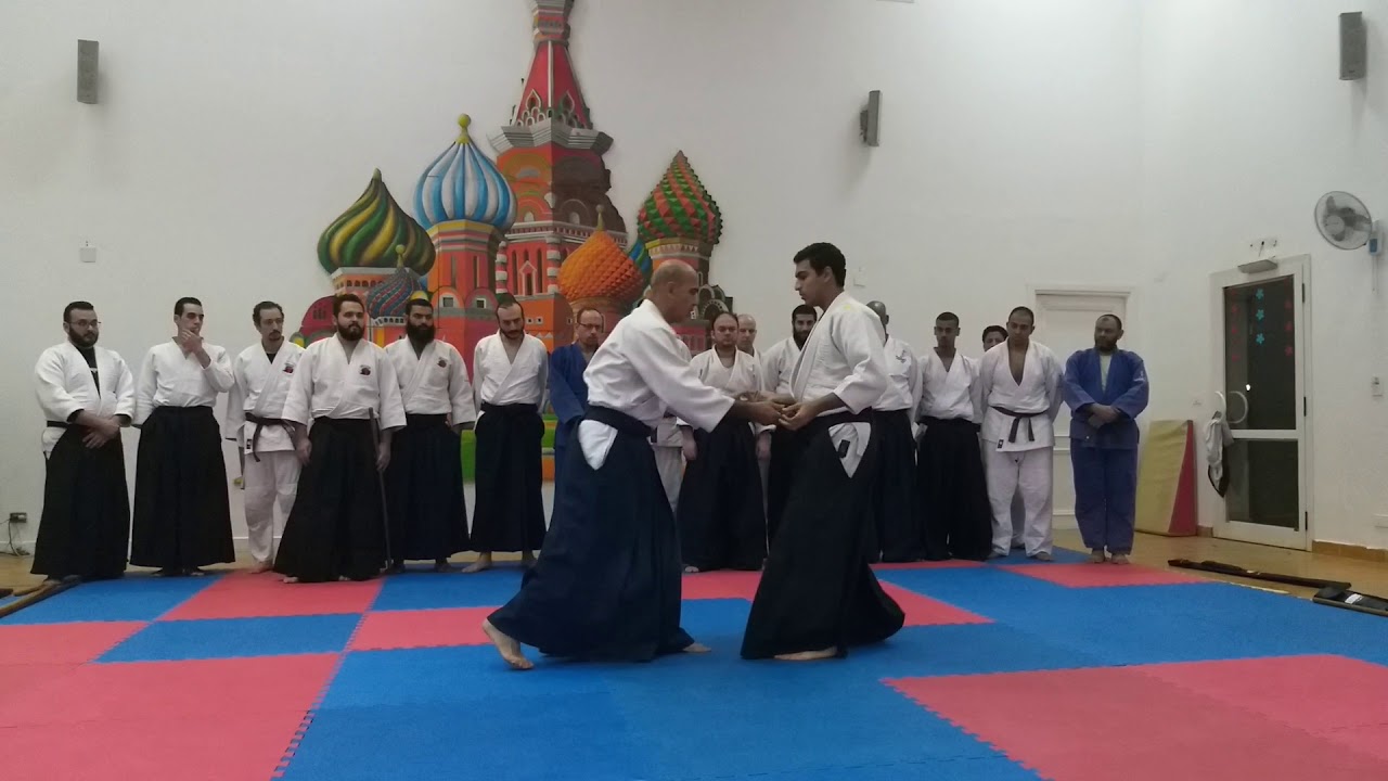 Sensi Mohamed ELSayed - Aikido Bokken Dori Techniques