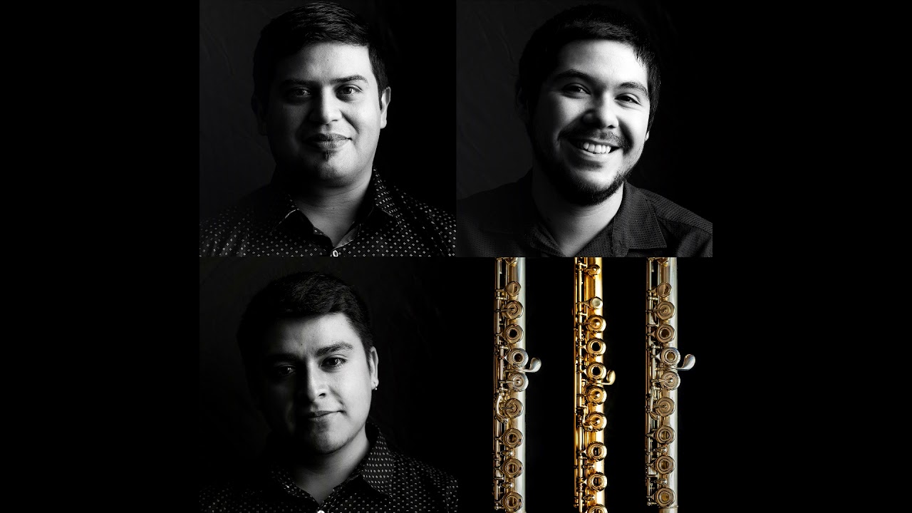 Giulio Briccialdi / Duo Concertante for 2 flutes in F major, Op. 100/2