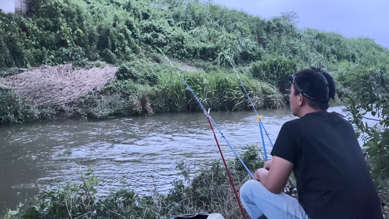 【うなぎ釣り】良く釣れる日はこんな日です。
