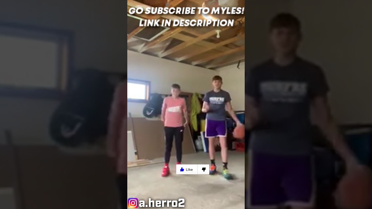 How to improve your handles, easy at home workout.