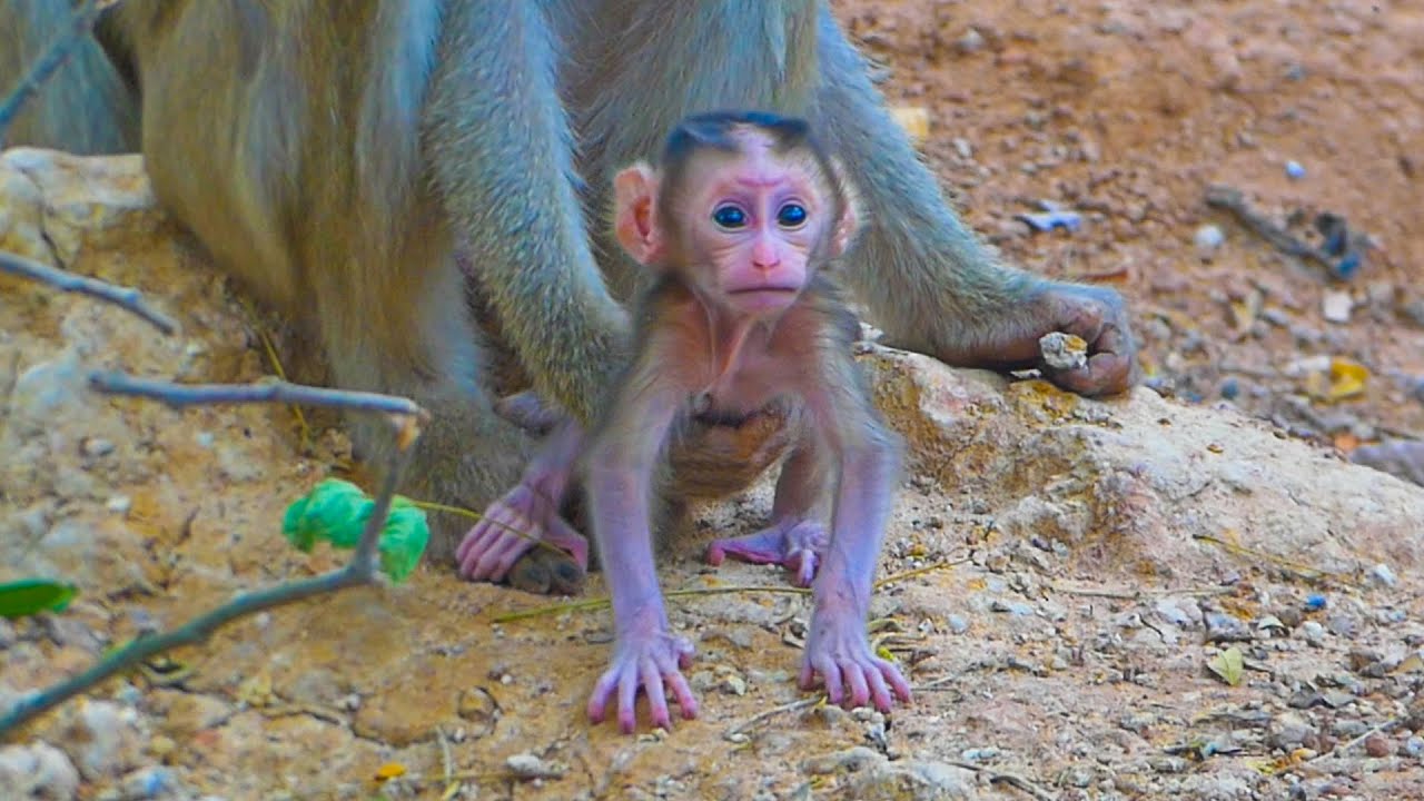 How cute baby Kendra standing by her mama Katrina helps holding her balance