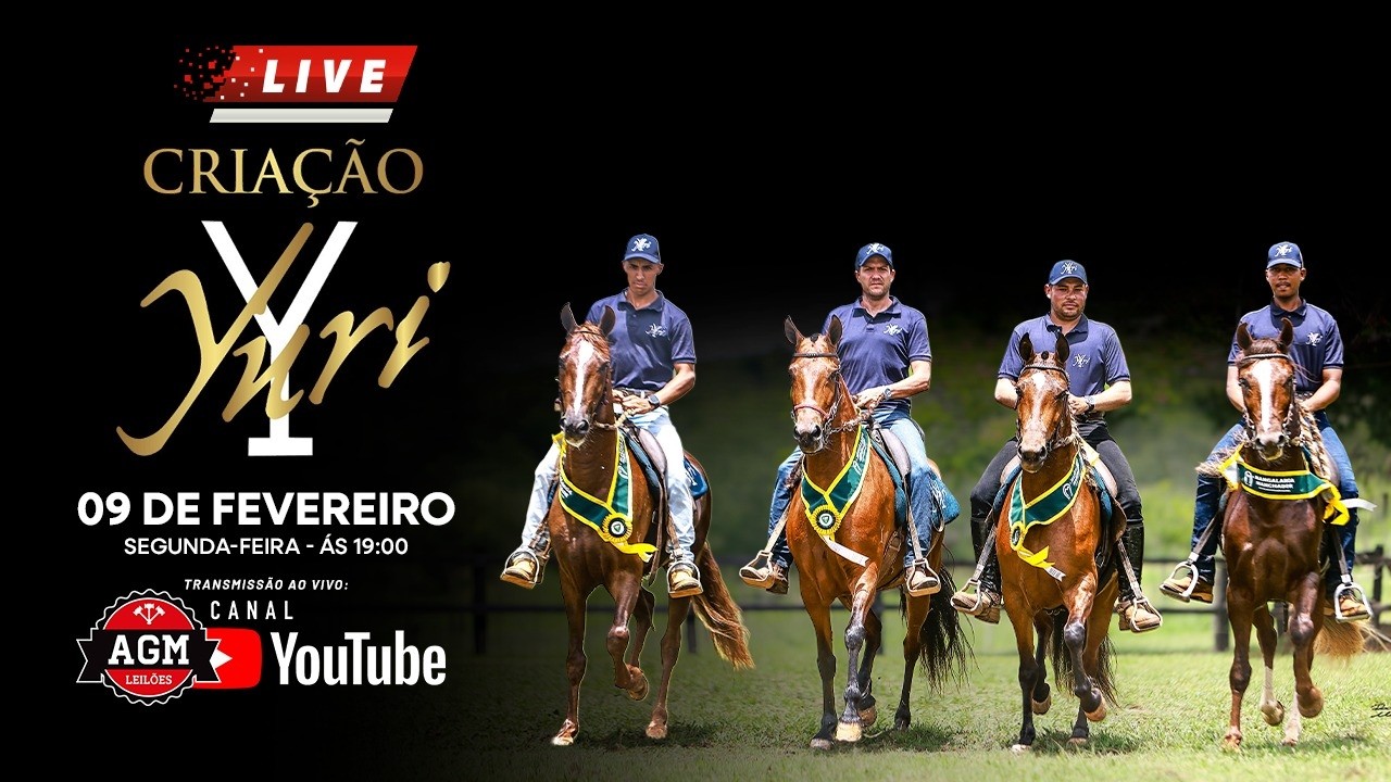 LIVE DE CRIAÇÃO HARAS YURI