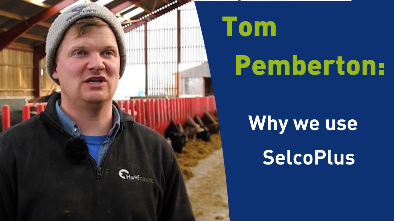 Tom Pemberton: Why we use SelcoPlus