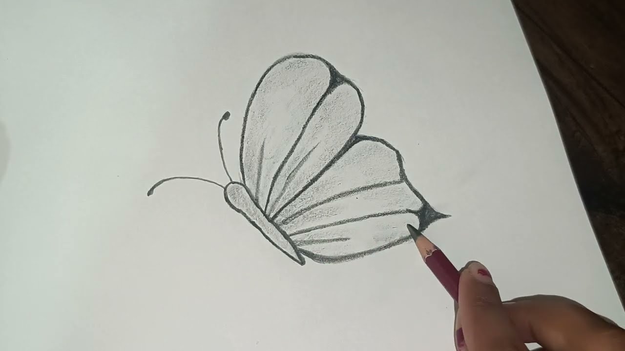 Easy butterfly drawing #beautiful butterfly 🦋