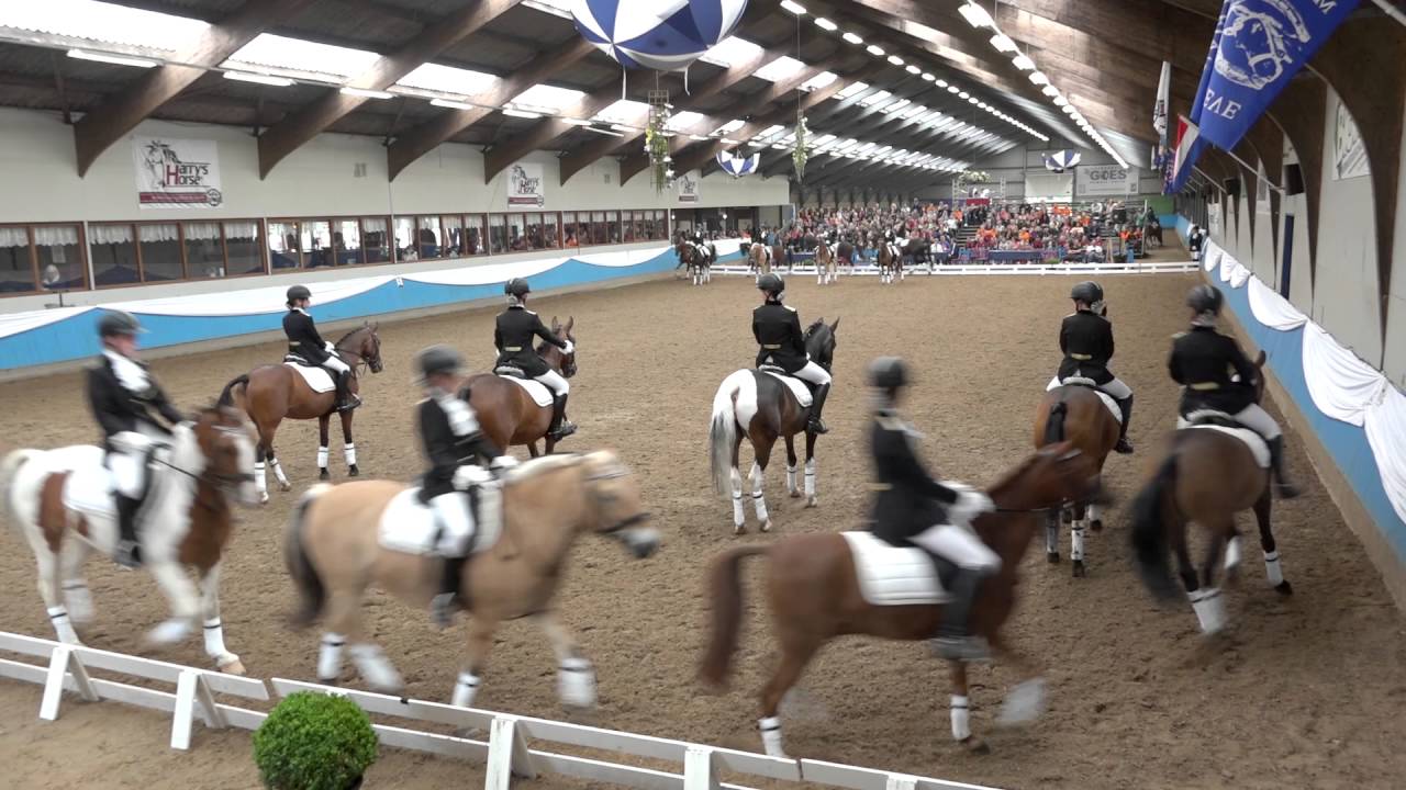 NK carrousel 2016 - Capelse Manege Pony's