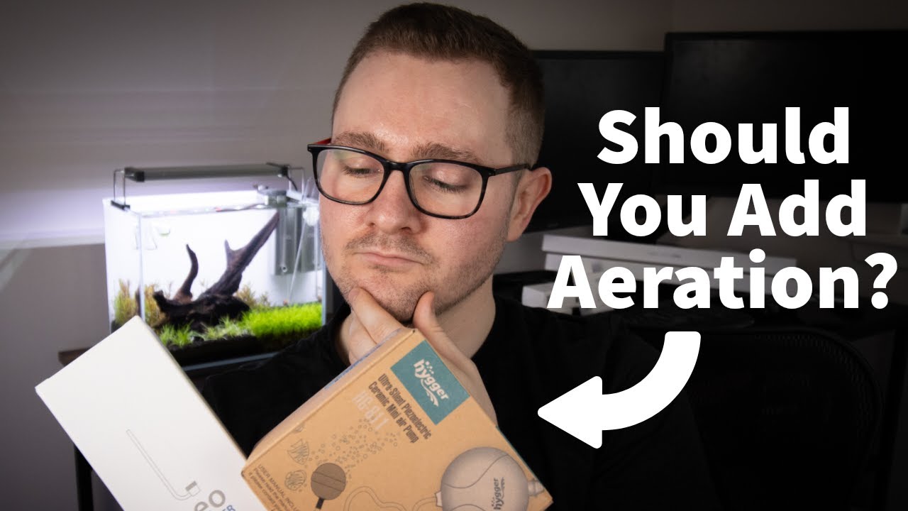 Aeration Benefits in Planted Aquariums