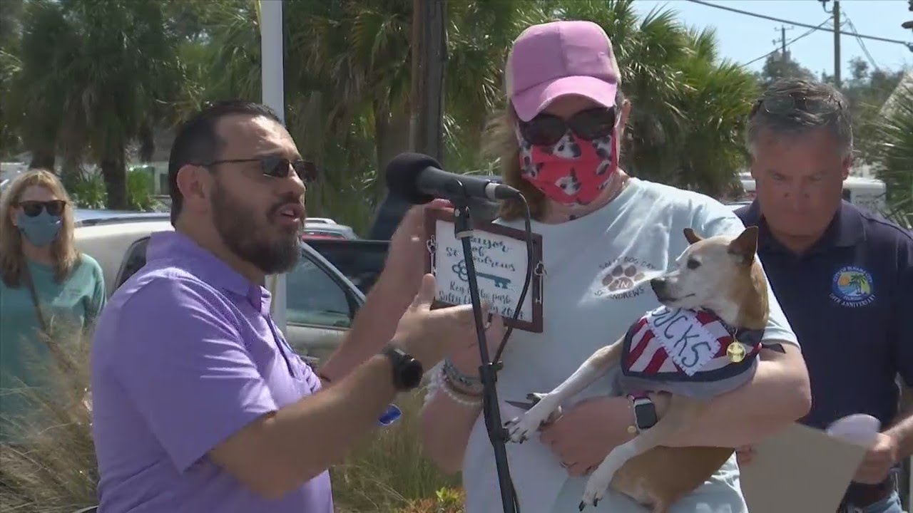 It&rsquo;s time to vote for the next Salty Dog Mayor