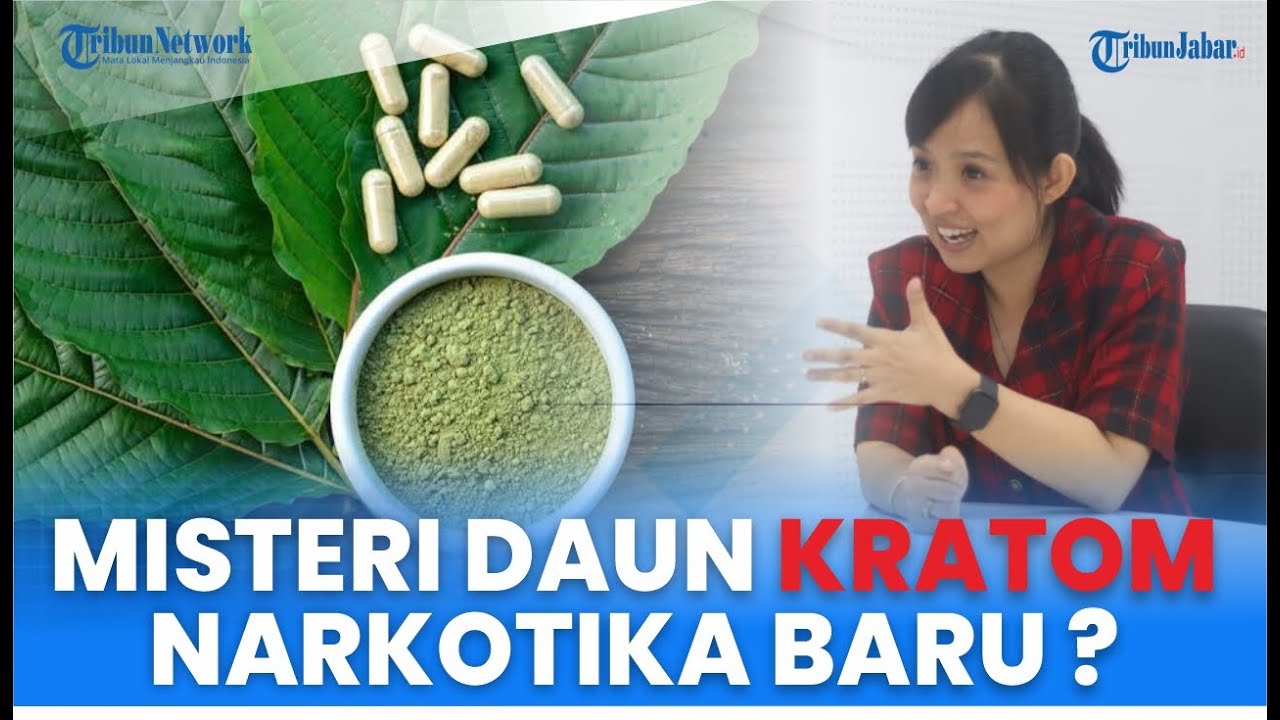 Misteri Daun Kratom, Narkotika Jenis Baru Di Indonesia ? I TRIBUN HEALTH