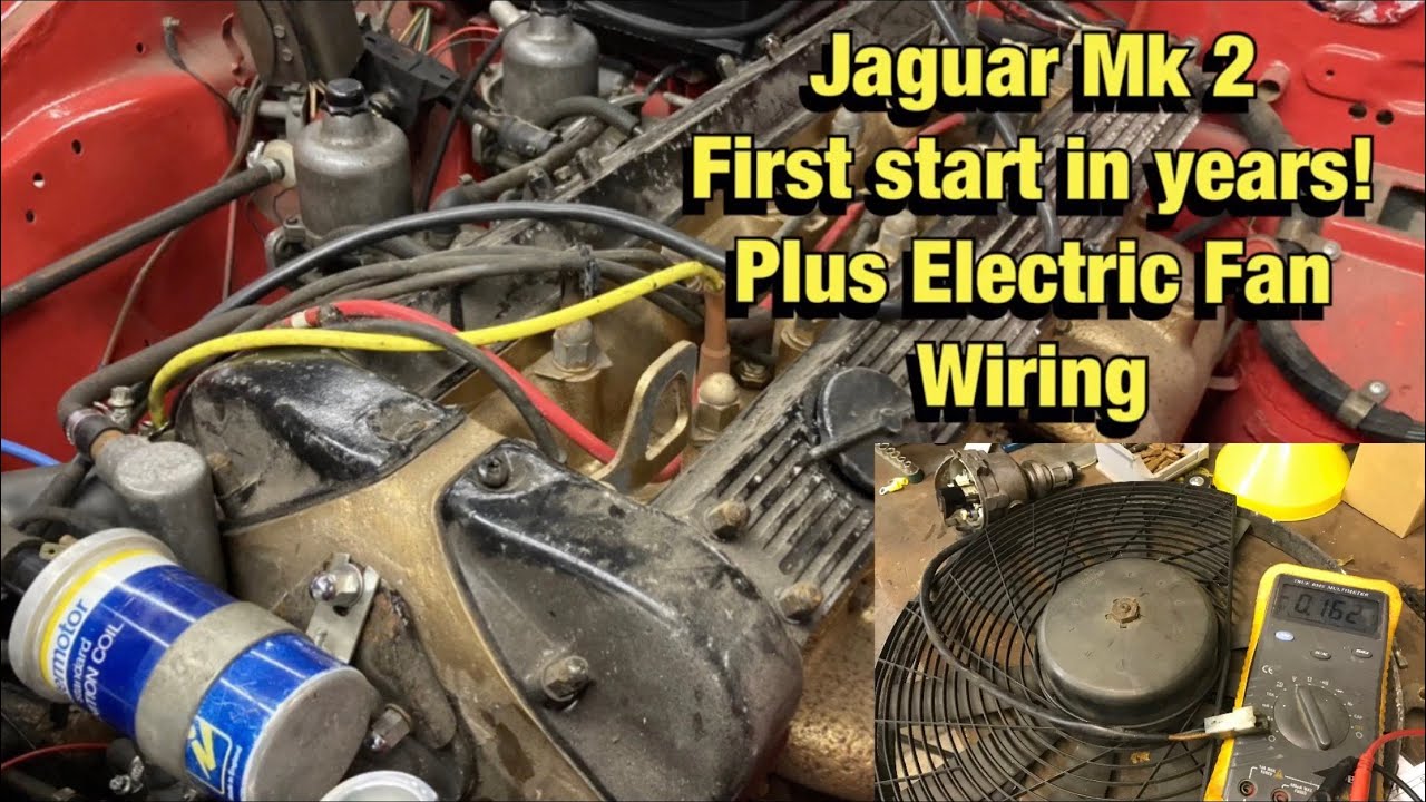 Jaguar MK2 first start in years plus fan wiring