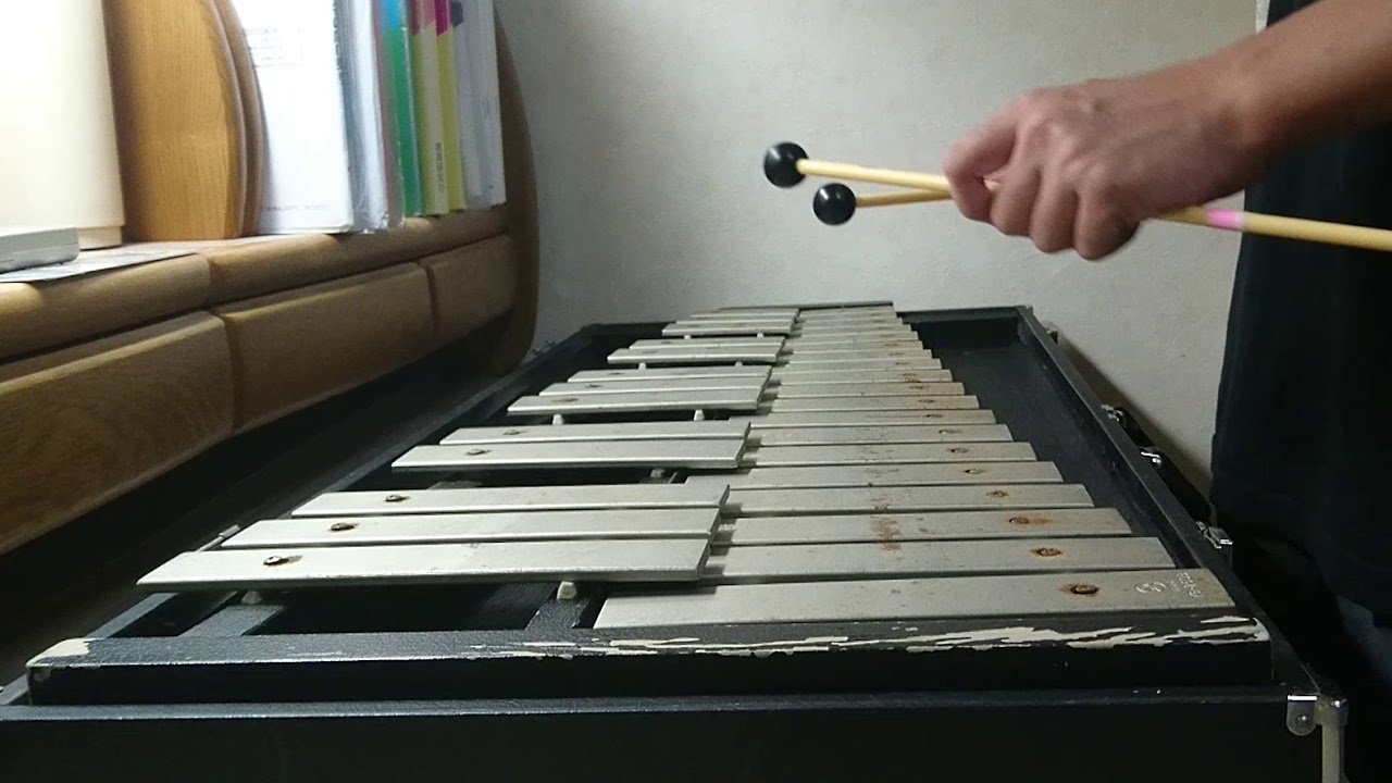 情熱大陸【鉄琴/器楽合奏】