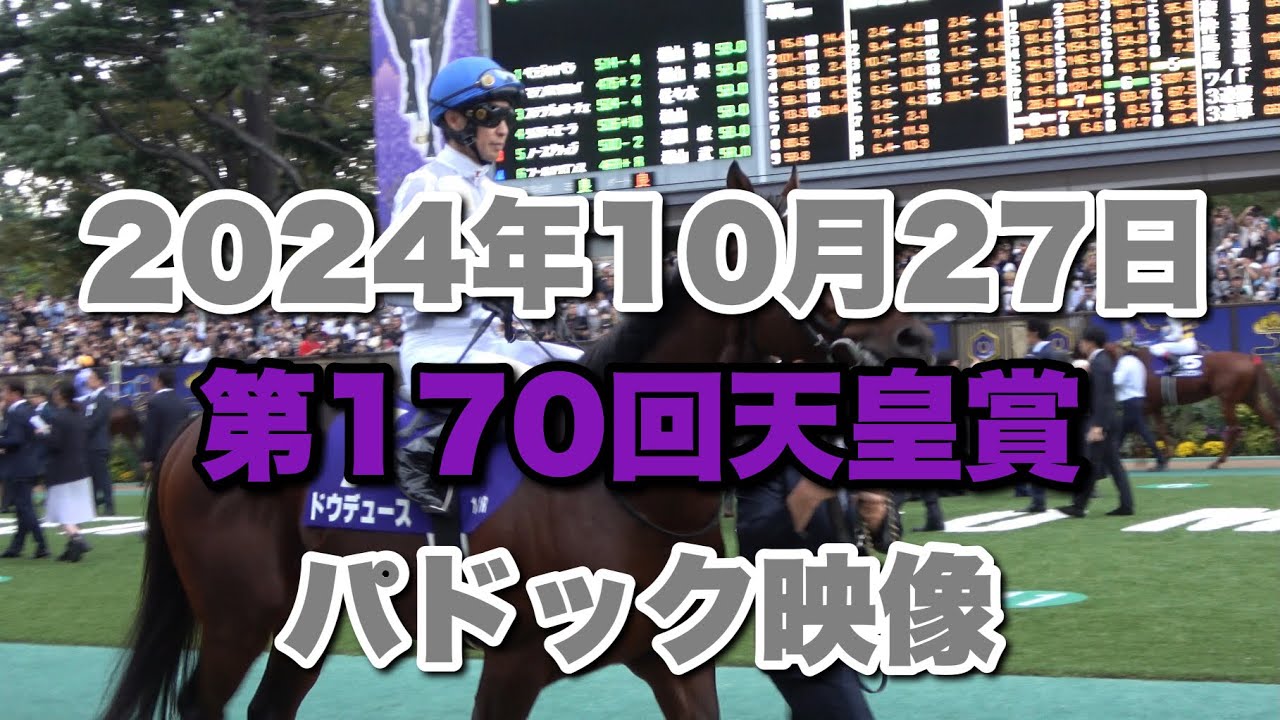【4K動画】2024年天皇賞・秋パドック【ドウデュース】