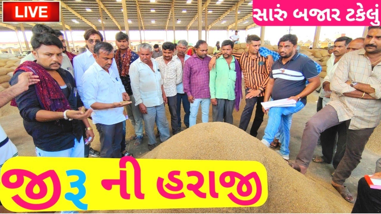 🔴 live cumin trading in Jasdan APMC,September 3, 2022