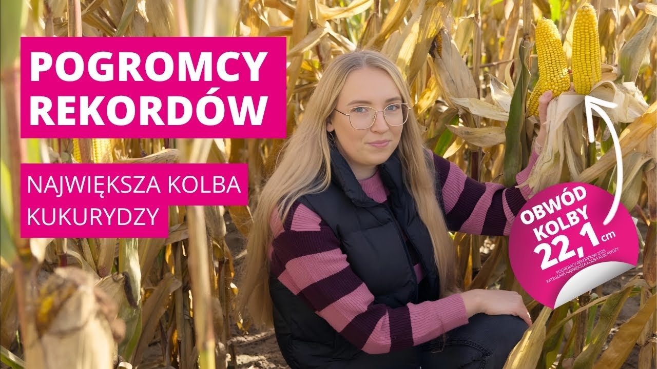 Pogromcy Rekord&oacute;w | Największa kolba | 22,1 cm | ISMERI 🌽