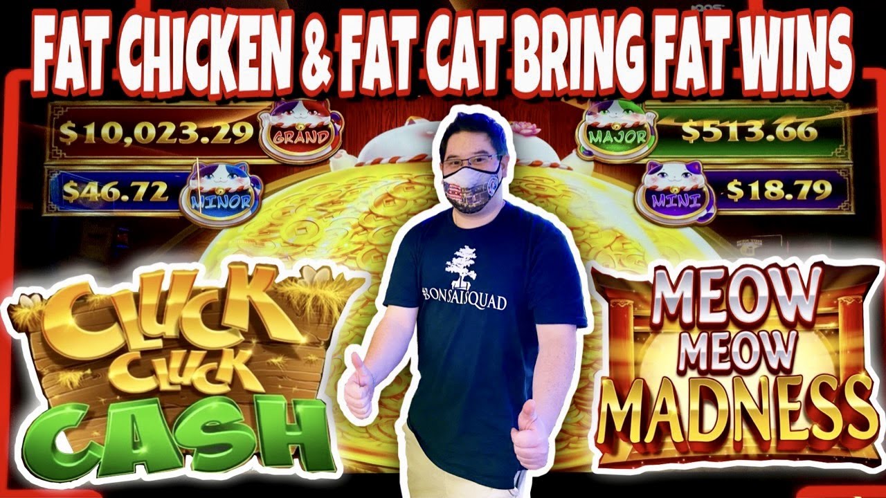 Толстый Цыпленок и Толстый Кот приносят крупные выигрыши в играх Cluck Cluck Cash и Meow Meow Mad...