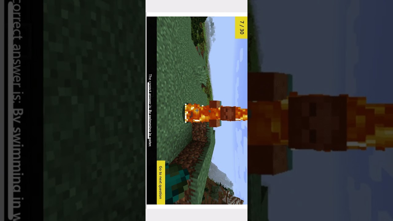 Ivan Does a Mine Craft Quiz