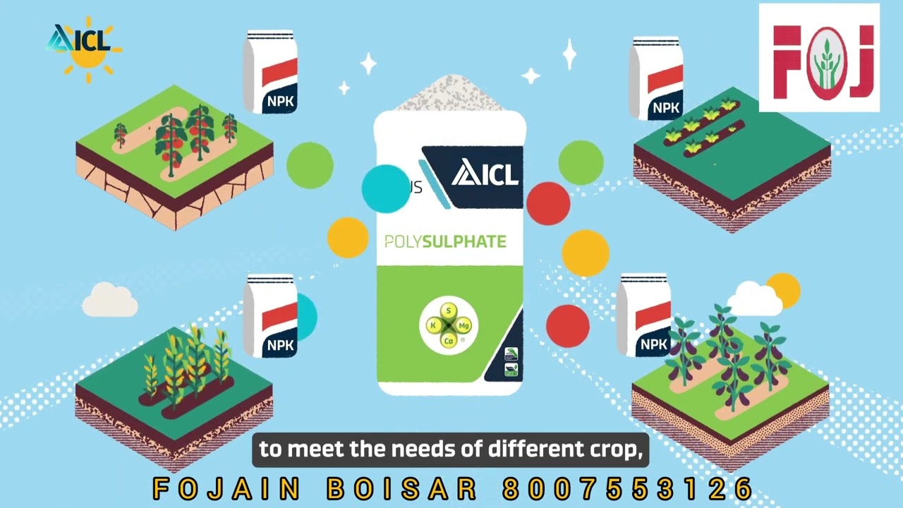 @iclgrowingsolutions  ICL POLYSULPHATE