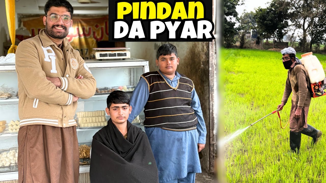 pindaan da pyar oor karwaya fasl me spry