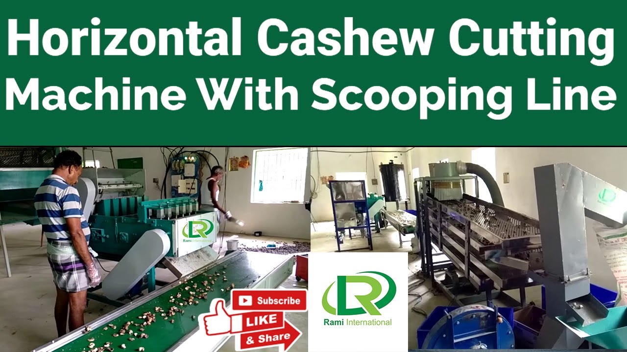 Cashew Processing Machine / Horizontal Cashew Cutting Machine With Scooping Line Set Up In Odisha.