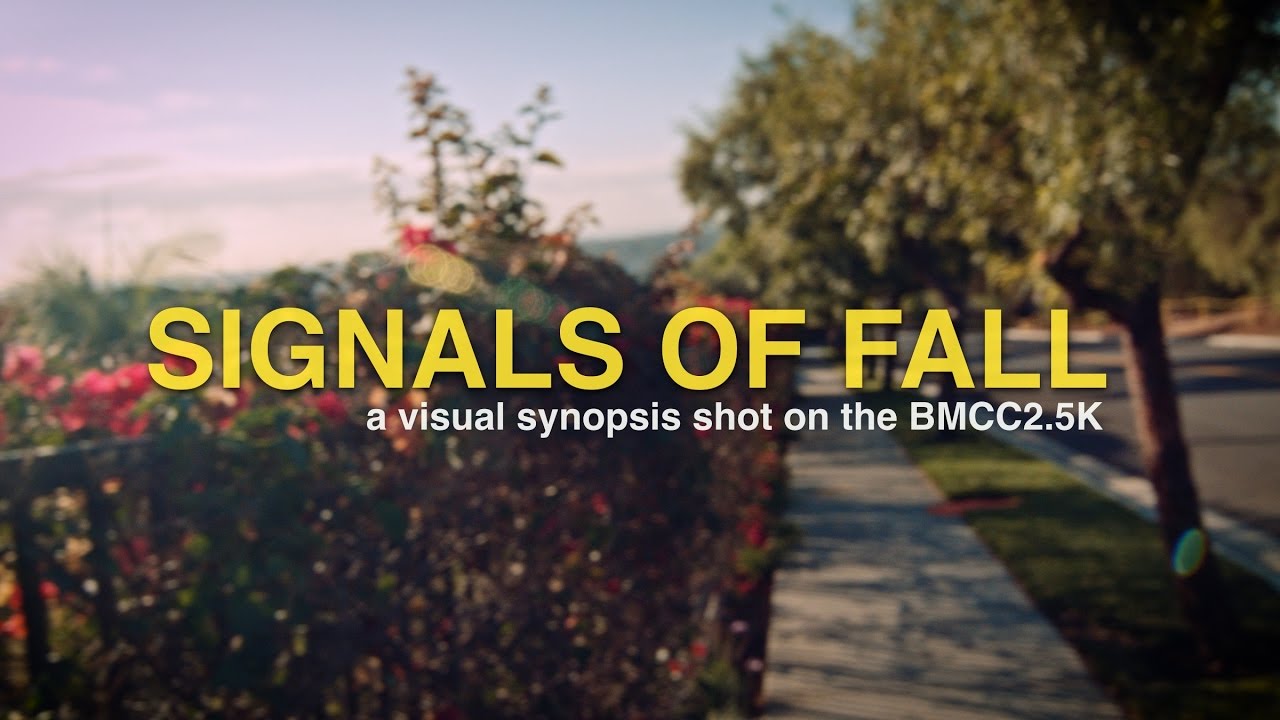SIGNALS OF FALL | BMCC 2.5K + Tokina 11-16mm