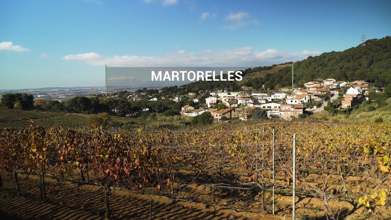 Apropa't i viu Martorelles