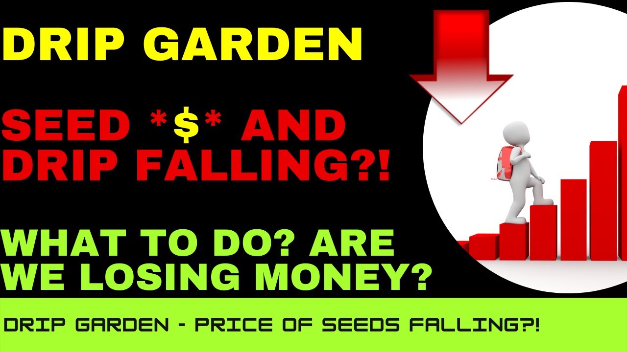 DRIP Garden Seed Price $ Falling?! - What To Do? - Should I Be Worried? - DRIP Garden General Tip