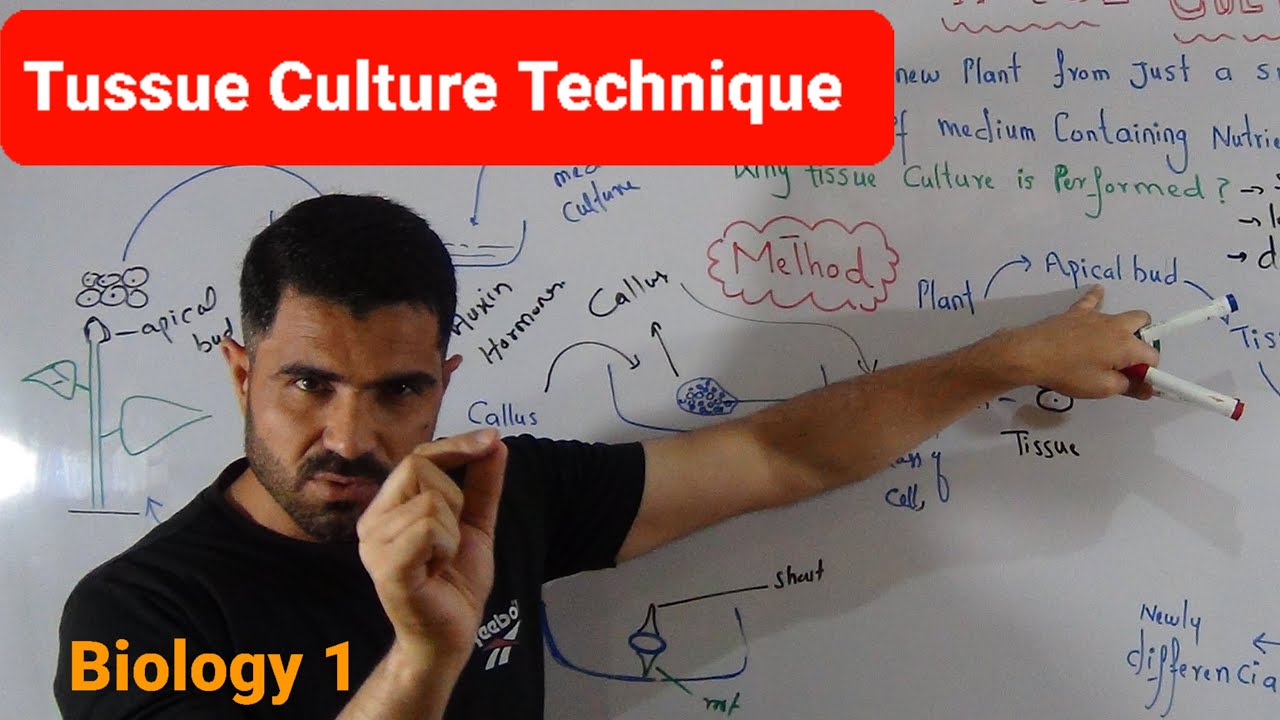 L-18 Tissue Culture Technique Explained by Dr Hadi  Biology First Year