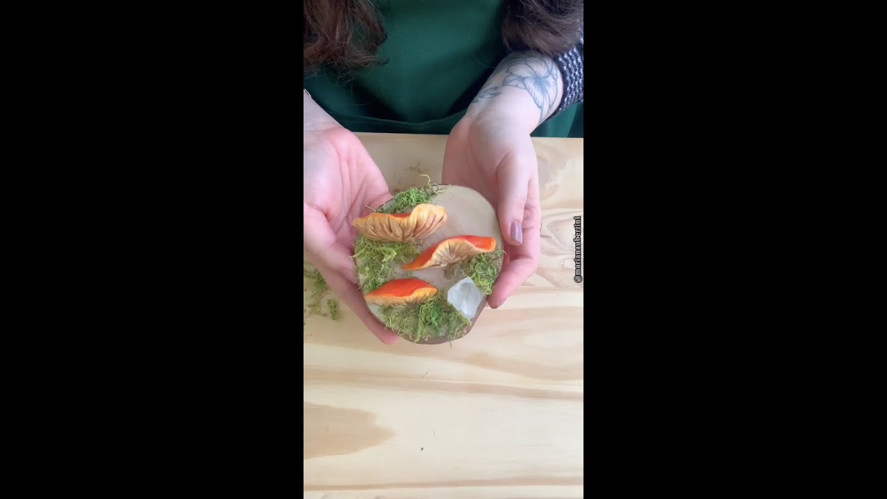 BISCUIT - 🍄❤️👂Cogumelo “Pycnoporus sanguineus” | Mariana Ubertini