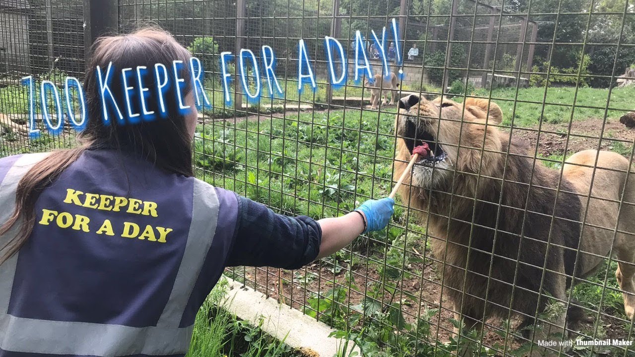 ZOO KEEPER FOR A DAY!!!!