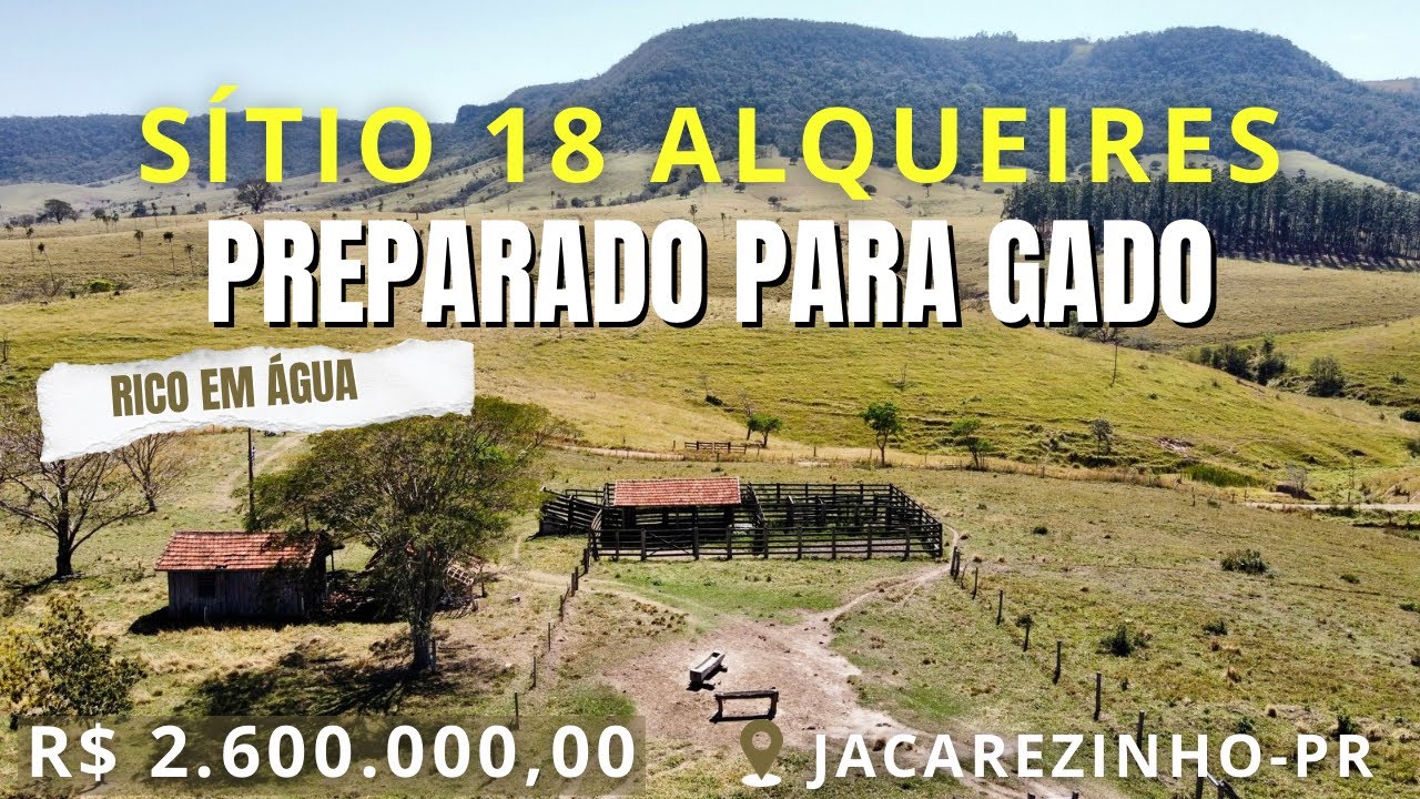 SÍTIO PREPARADA PARA GADO- NORTE DO PARANÁ- RICO EM ÁGUA 