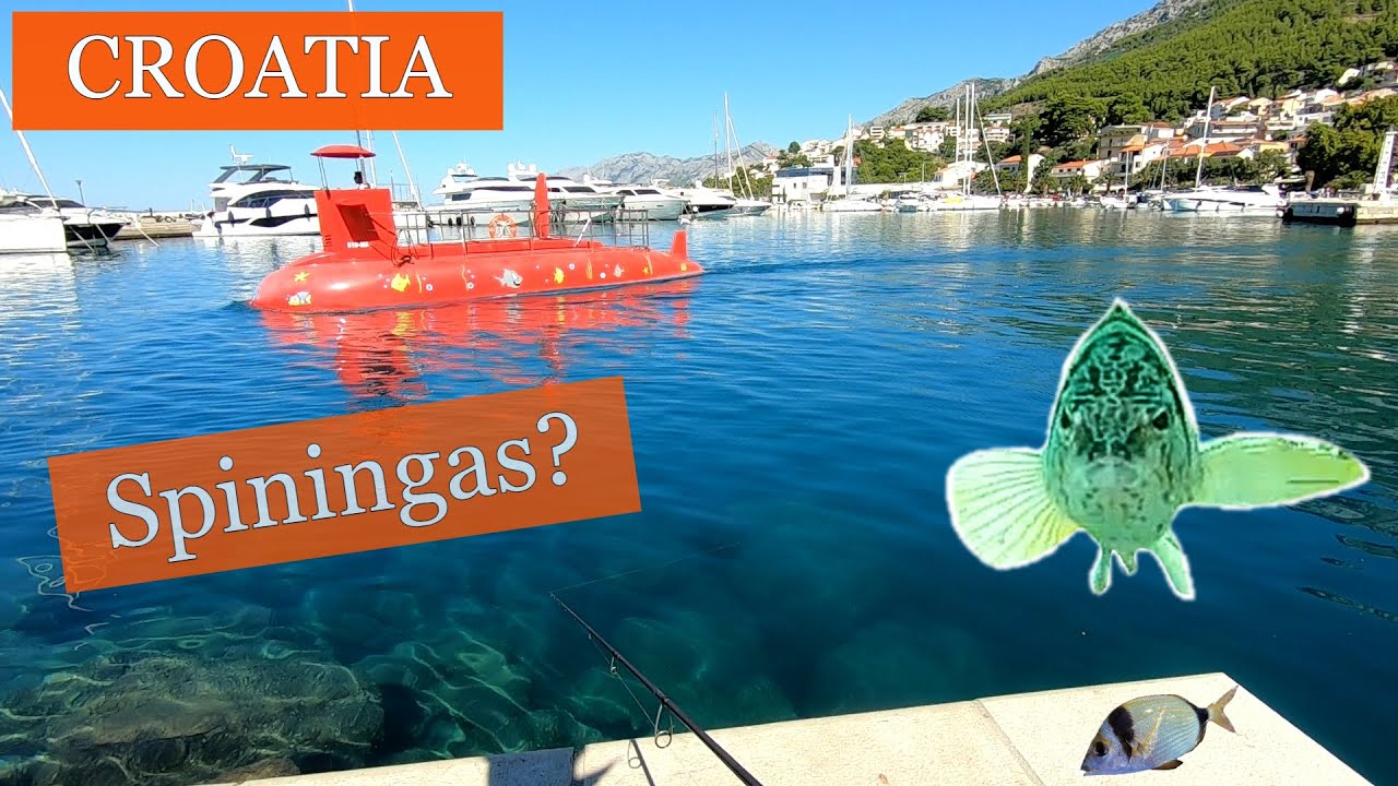 Žvejyba Adrijos jūroje ant VIŠTOS, Kroatija | Fishing in Adriatic sea using CHICKEN, Croatia