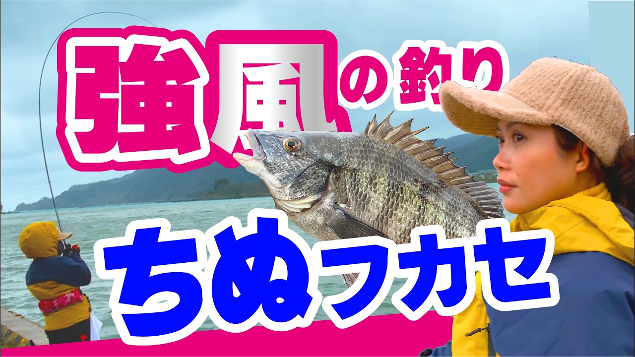 【ちぬフカセ釣り】風が強い日は、ガン玉をサイズアップ。つけエサを  ボトムにしずめて、チヌ にくわせます。【堤防エサ釣り】