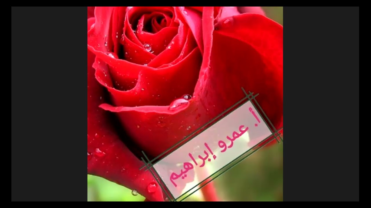 مناقشة امتحان المعاصر التجريبي لولاية البحر الأحمر