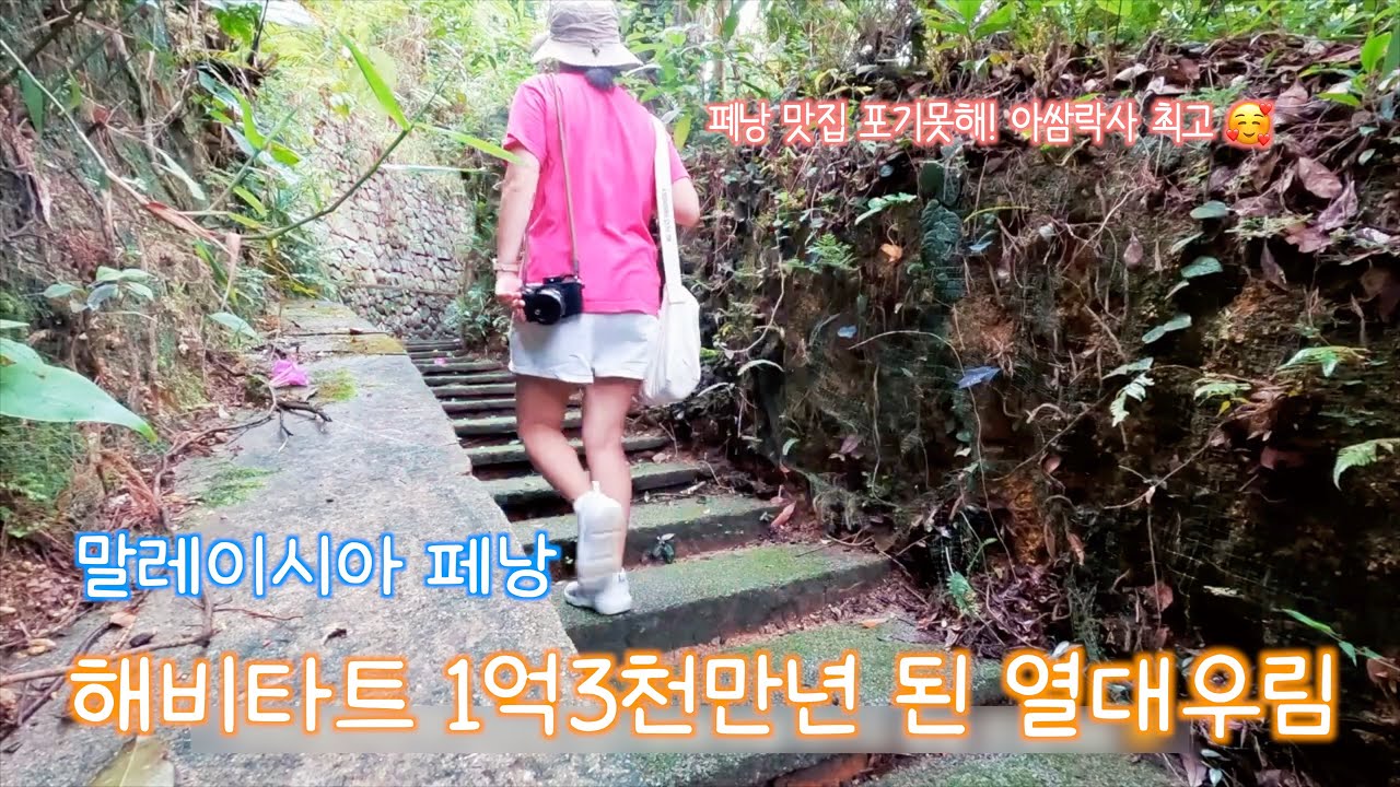 페낭 유네스코 해비타트, 켁록시 사원,  아쌈락사 맛집, 거니호커센터, 2박3일 추천