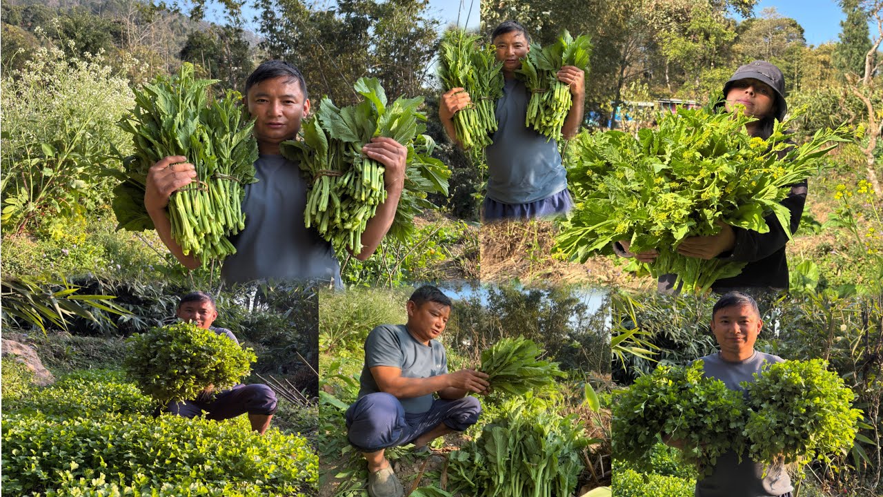 Organic Saag Ko Duku￼ Dhaniya Tipdai ￼Wow || Rural Life In Village Vlog ||
