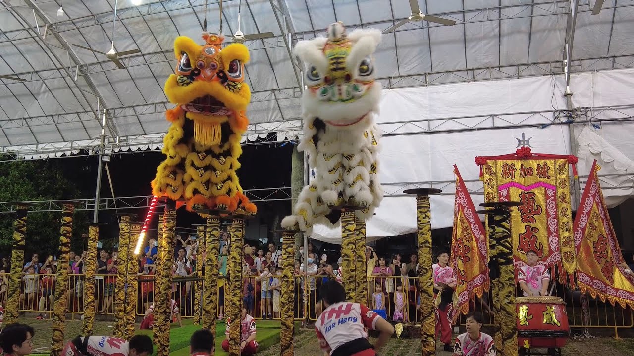 [4K] World Lion Dance Champion Yiwei Team A&B High Pole @Tao Bu Keng Temple 世界狮王-艺威 高桩表演 20 Oct 23