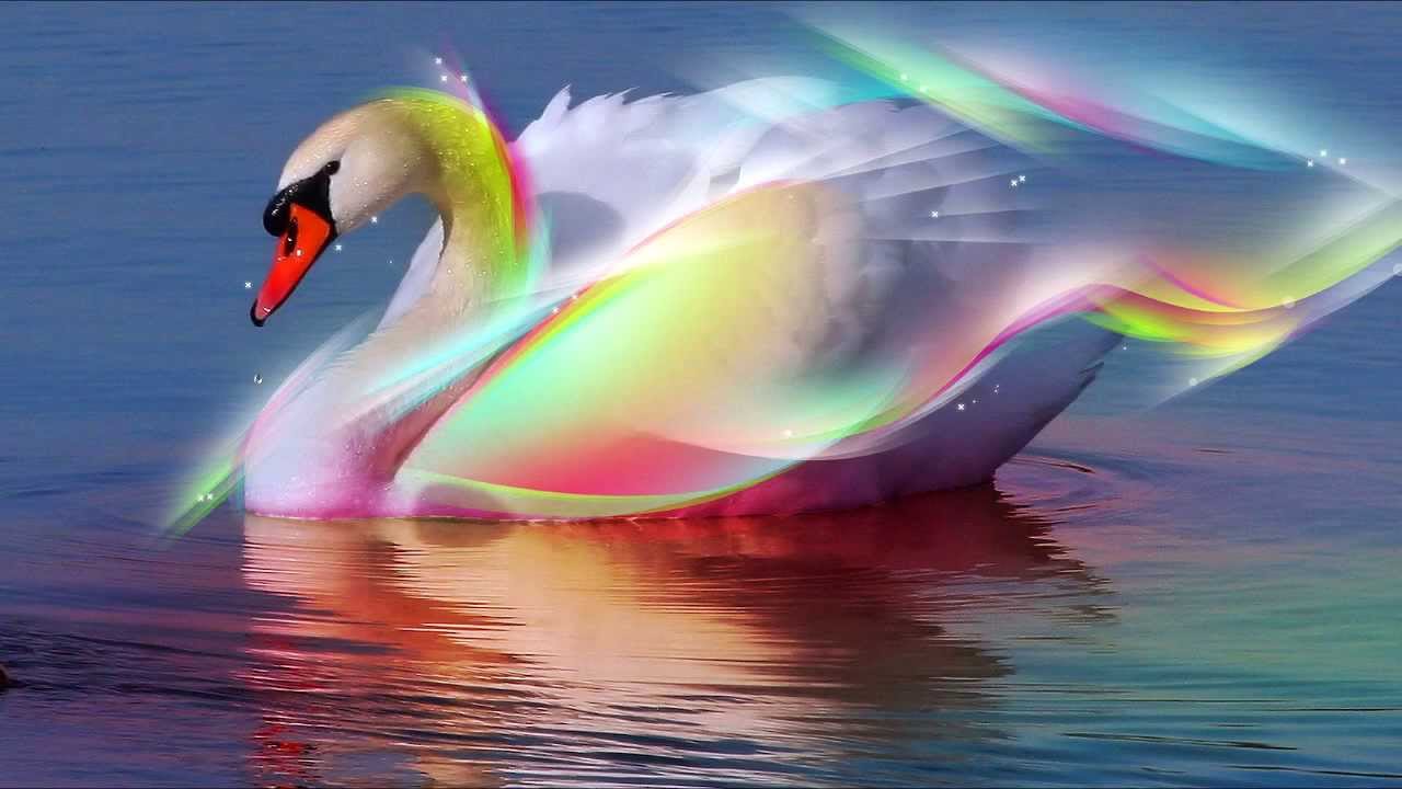 Nightwish - Swanheart  lyrics HD