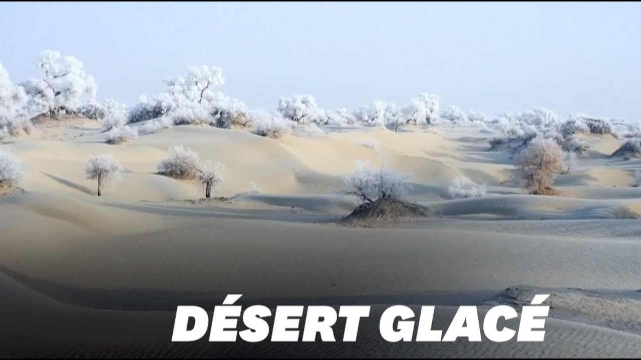Le givre transforme ce d&eacute;sert chinois en un paysage f&eacute;erique