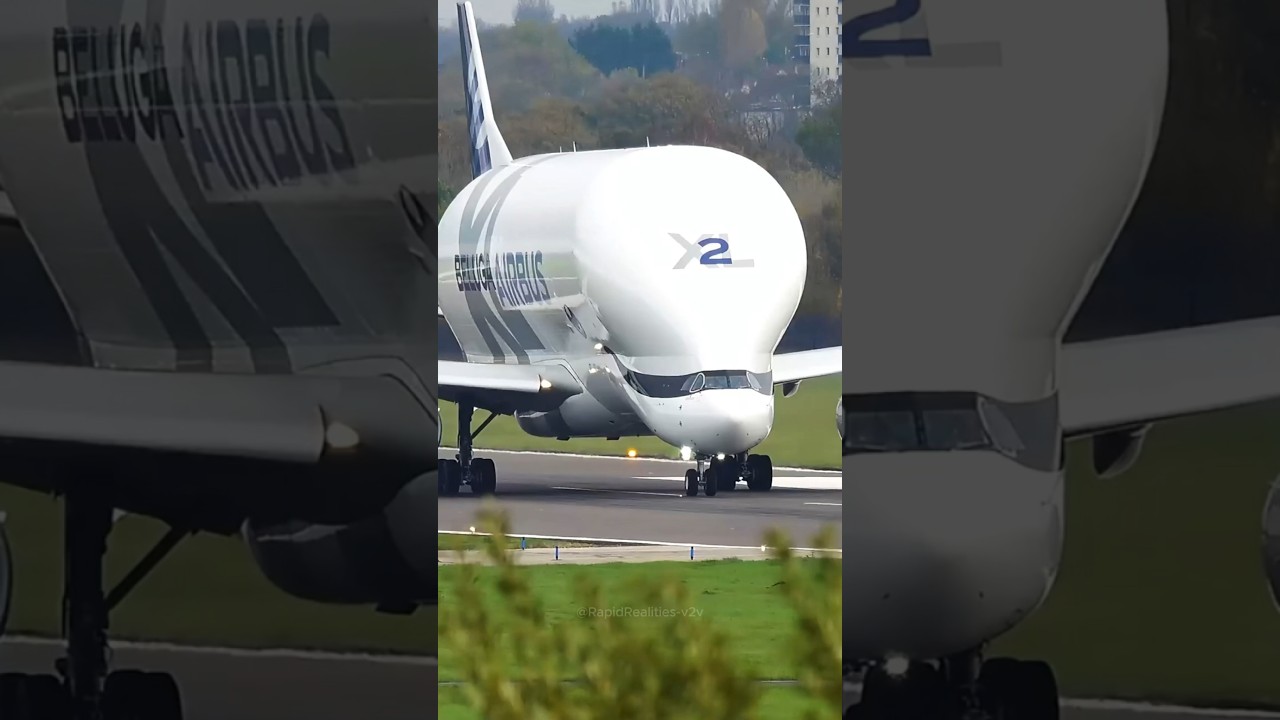 Air Bus Beluga Plane!!!                       #science #aviation #plane #facts