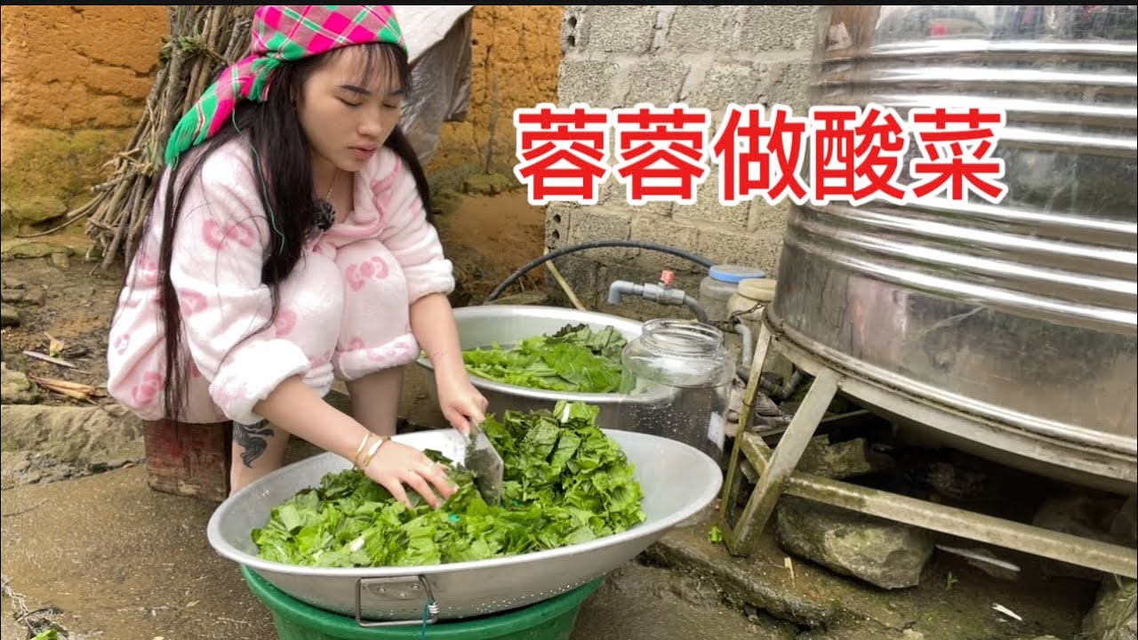 幾天不見了，今天媽媽叫蓉蓉在家幫媽媽做酸菜，謝謝大家來觀看蓉蓉的視頻
