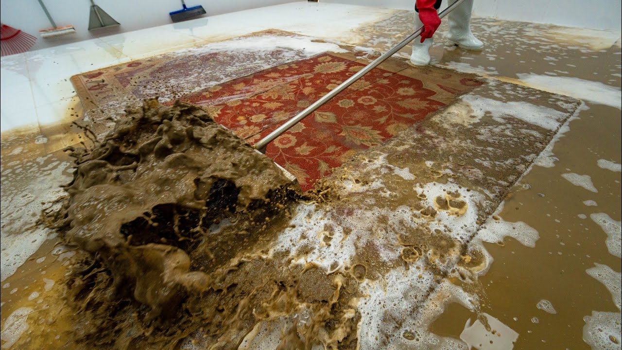 This Mud Explosion Came From a Rug | Extreme ASMR Cleaning