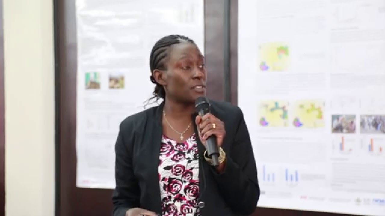 Gender capacity assessment and development in four Livestock and Fish value chain countries