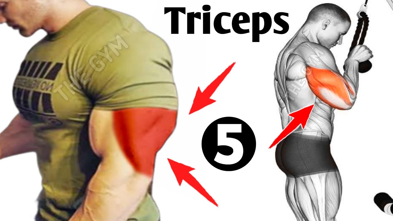 My Top 5 Exercises For Bigger Triceps - Triceps Workout