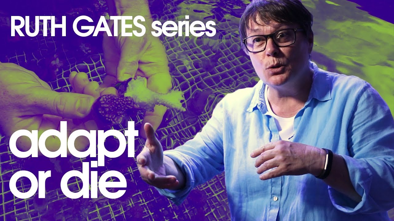 Adapt or Die - Ruth Gates Series
