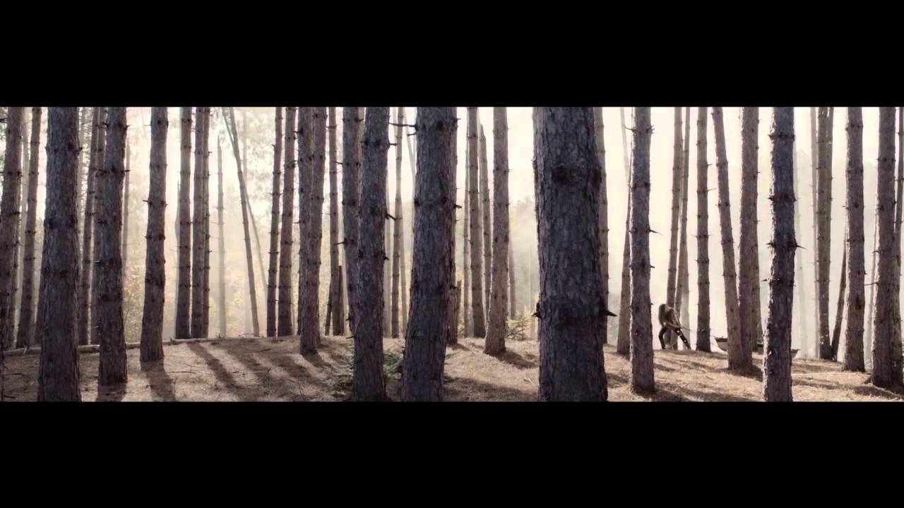 Catherine Durand - Sur mon &icirc;le