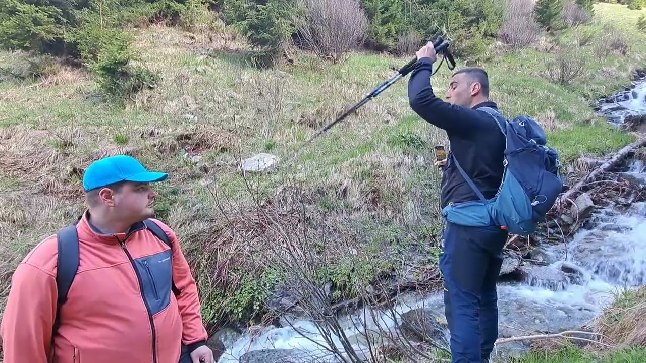 CREASTA RODNEI BILA-CISA