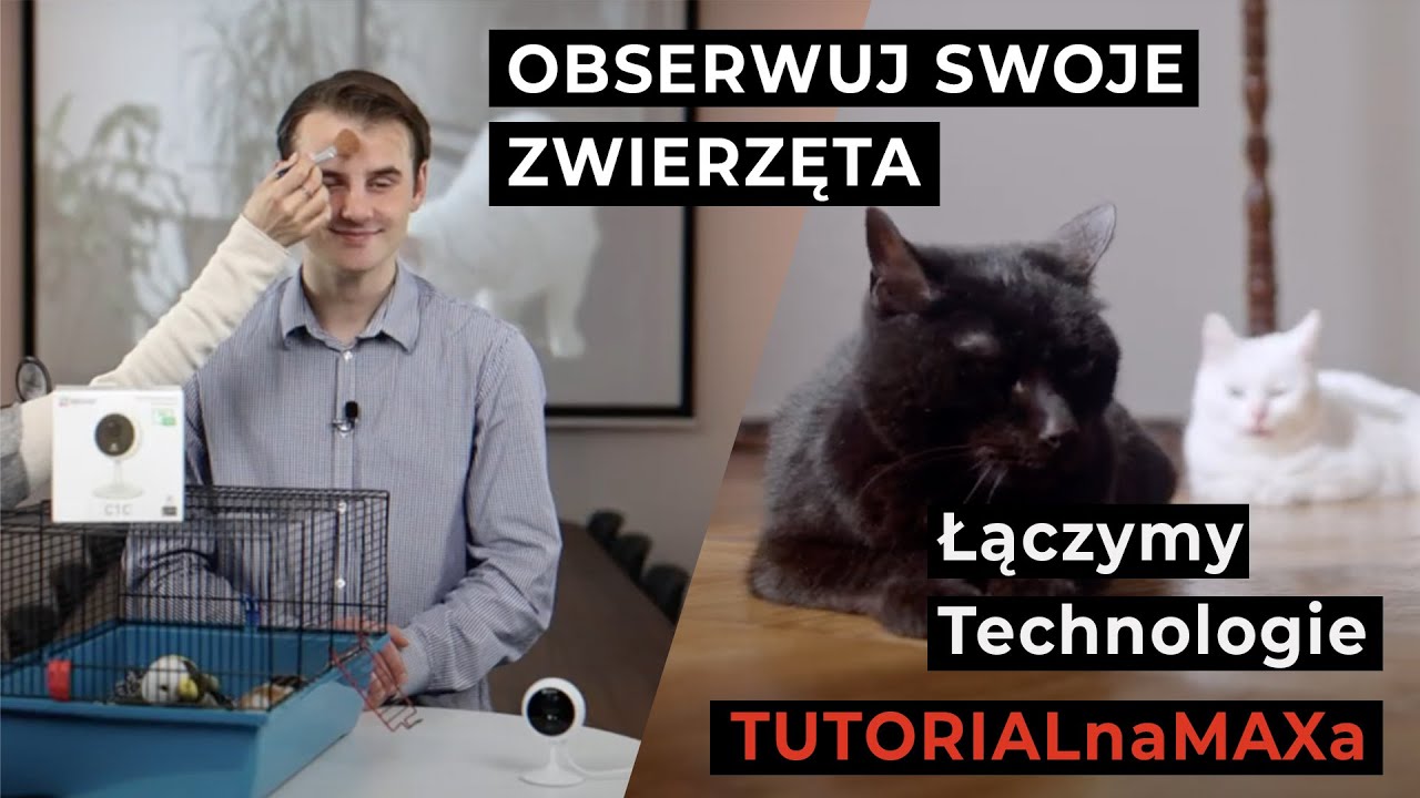 Jak obserwować zwierzęta podczas nieobecności w domu? | Ezviz C1C | #TUTORIALnaMAXa