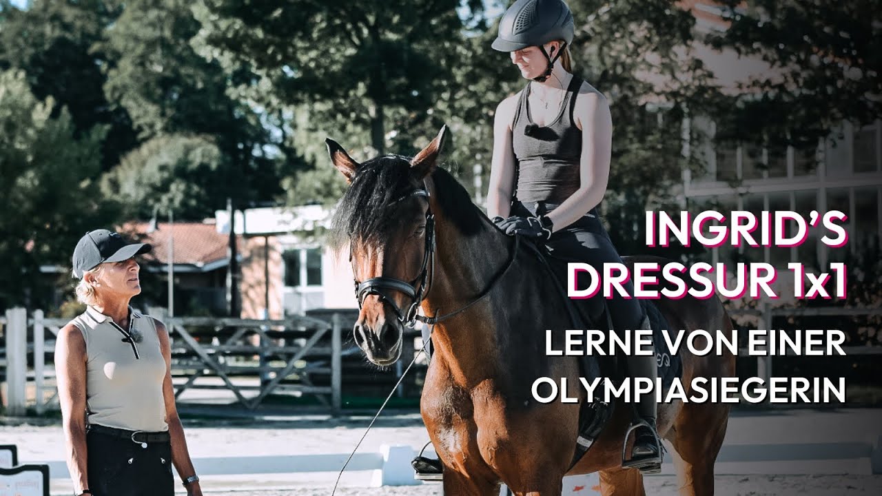 Ingrid's Dressurgrundlagen - Lösungsphase: Schenkelgehorsam verbessern & richtig treiben | wehorse