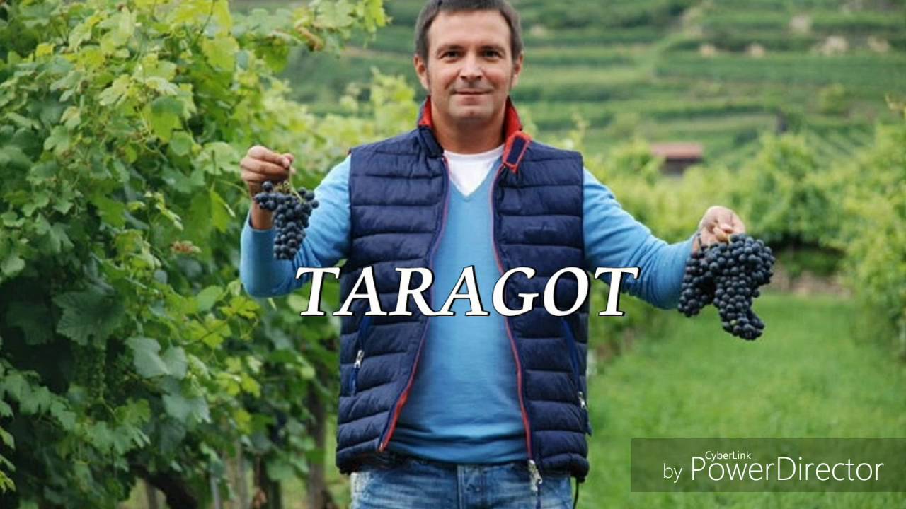 Daniel Buzdugan - Farsă - TARAGOT