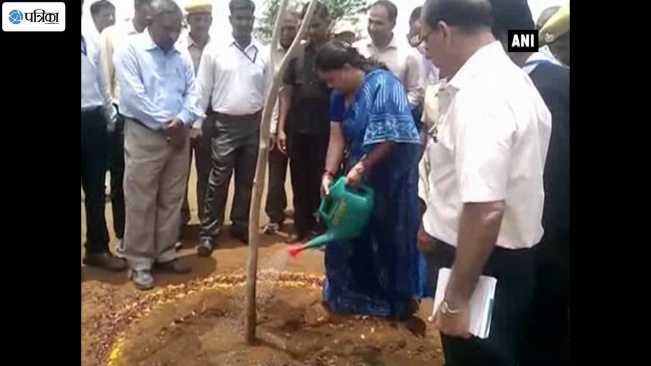 CM Raje- Plant Trees for Greener Rajasthan