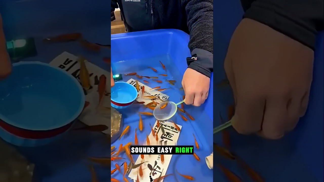 That's why china people create a shop with live fish